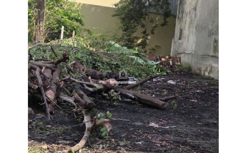 Đất Vuông SHR Full TC HXH 219m2 – Đặng Thúc Vịnh Hóc Môn SS